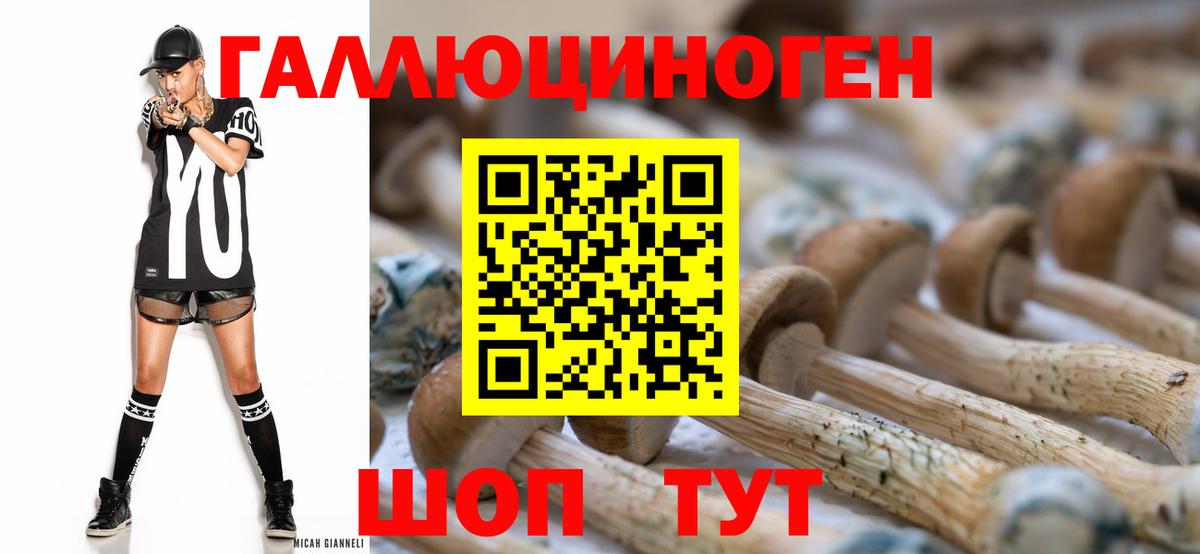 Галлюциногенные грибы прущие грибы Алексеевка