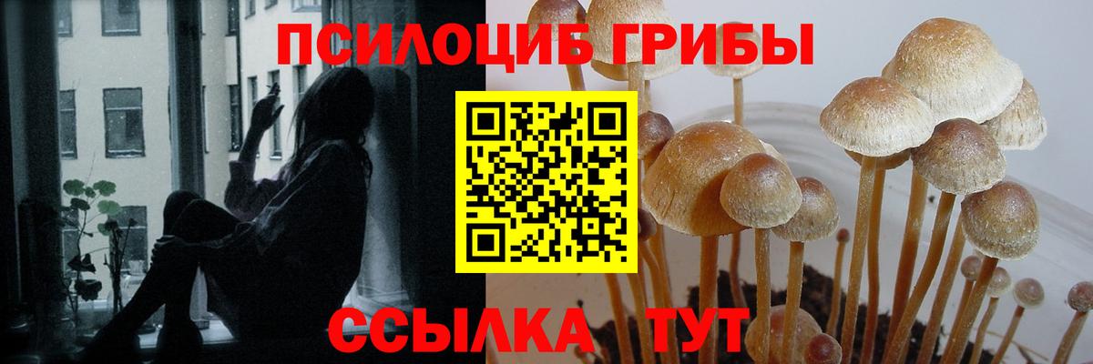 Алексеевка  Галлюциногенные грибы ЛСД  Вход с VPN  Галлюциногенные грибы мицелий 
